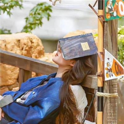 英雄虎胆美人恩